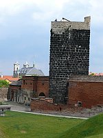 exkurze - foto 26