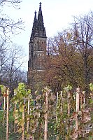exkurze - foto