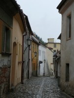 exkurze - foto