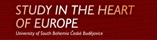 Study in the Heart of Europe